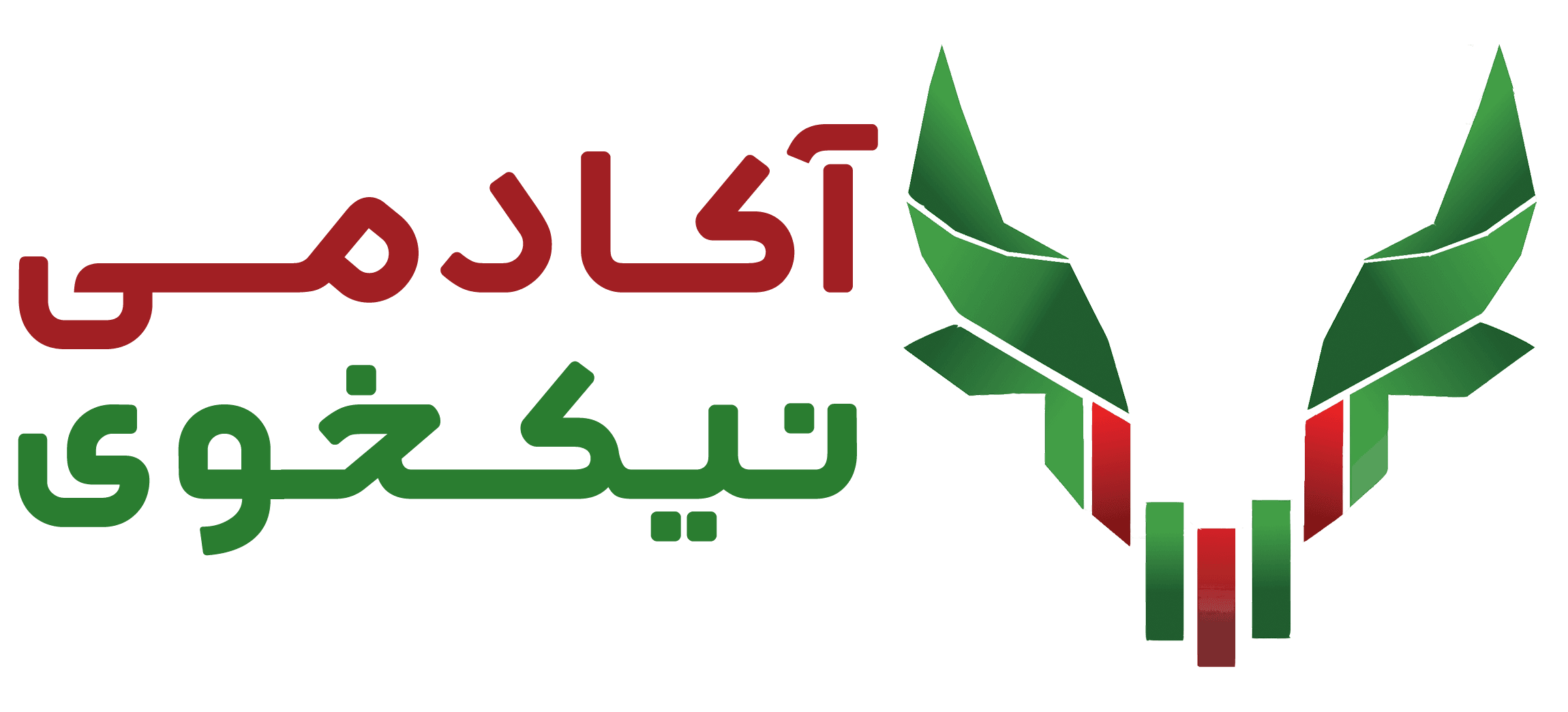 آکادمی نیکخوی