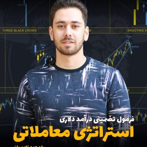 دانلود دوره استراتژی ترید محمدرضا فاموریان ( فرمول تضمینی درآمد دلاری محمدرضا فاموریان )