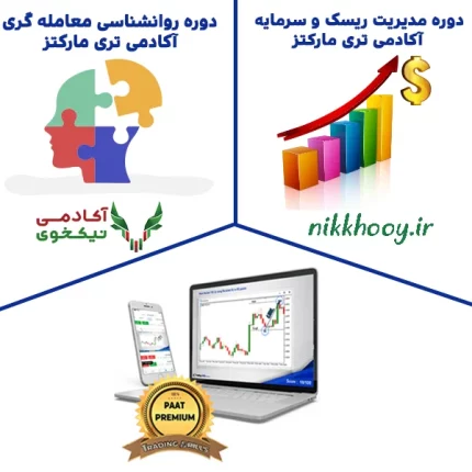 دانلود دوره جامع الگو تریدینگ رضا اناری تری مارکتز